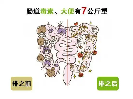 肚大只因便便多,排便减肥瘦10斤(免费体验)