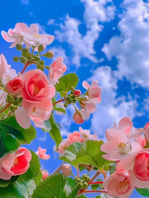 背景 壁纸 设计 矢量 矢量图 素材 690_916 竖版 竖屏 手机