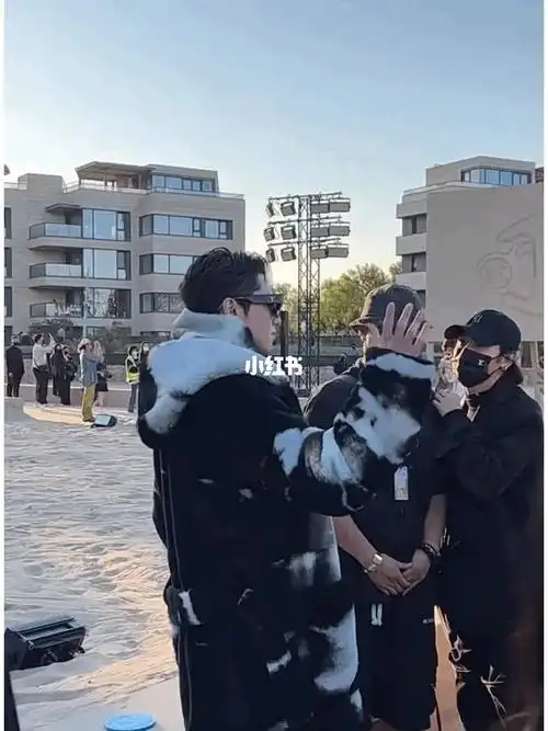 王鹤棣就像lv家的少爷回家开party了