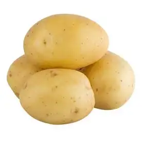 organicpotatopeelerssuppliers