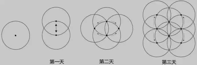 生命之花简笔画过程