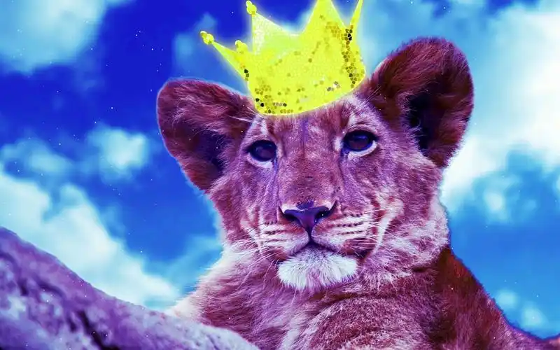 elektronomia - lion king (instrumental)