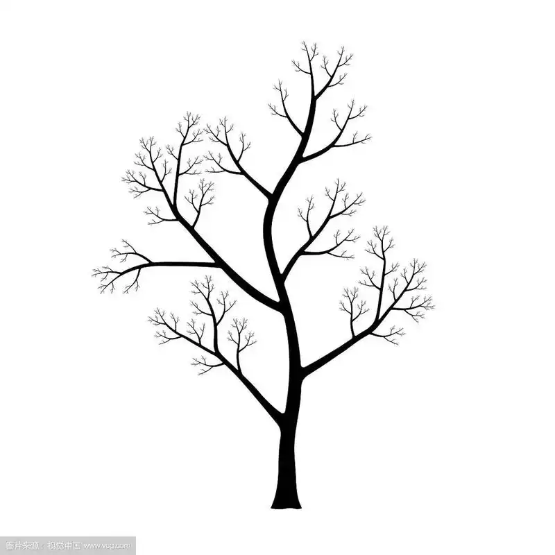 干树的轮廓