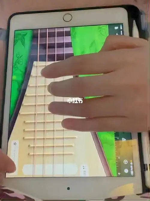 但愿人长久库乐队琵琶