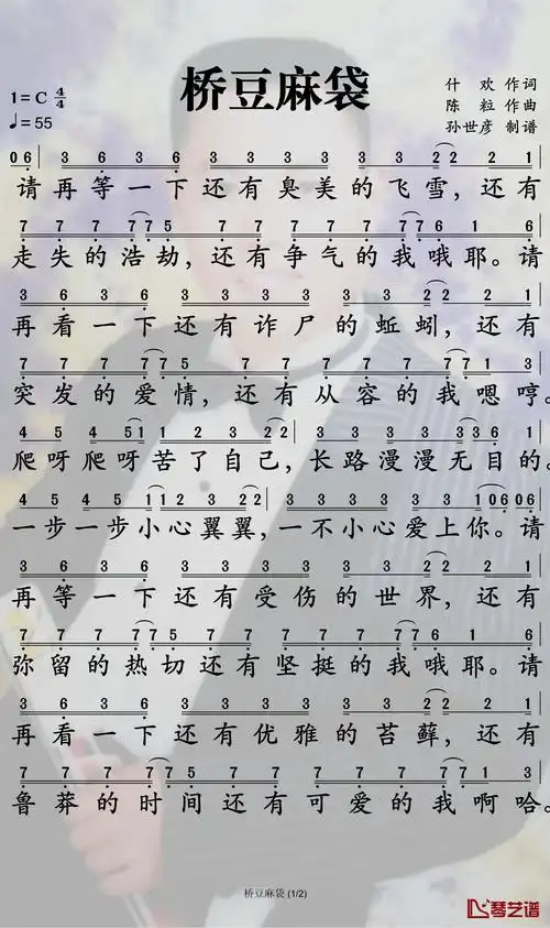 桥豆麻袋简谱-陈粒-请等一下,一下就好1