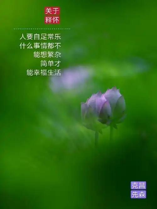 释怀的图片([美图美文]*关于释怀)