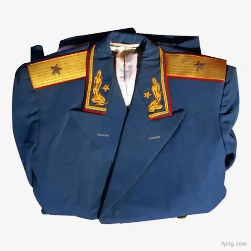 "文化将军"陈沂的55式少将军服