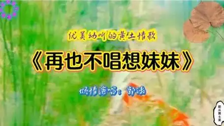 陕北著名女歌手郭涛一首《再也不唱想妹妹》,听的人如痴入醉