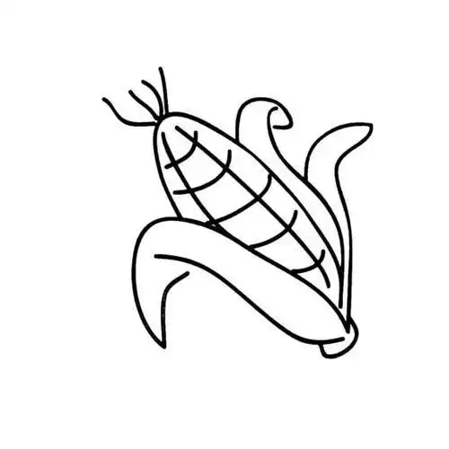 水果玉米简笔画