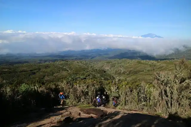 登上坦桑尼亚非洲第一高峰乞力马扎罗山之梦