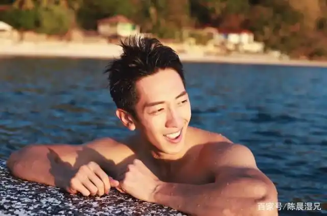 分明,麒麟臂,人鱼线,鲨鱼肌,胸肌等,每一块肌肉都散发着致命的魅力