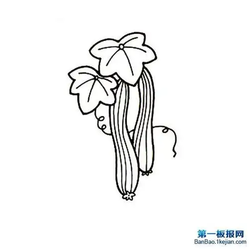 丝瓜简笔画
