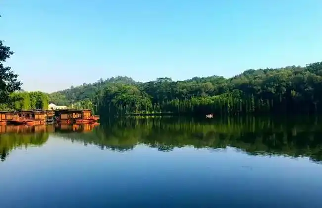 佛山最值得去又好玩的地方排行榜(佛山旅游必去十大景点)