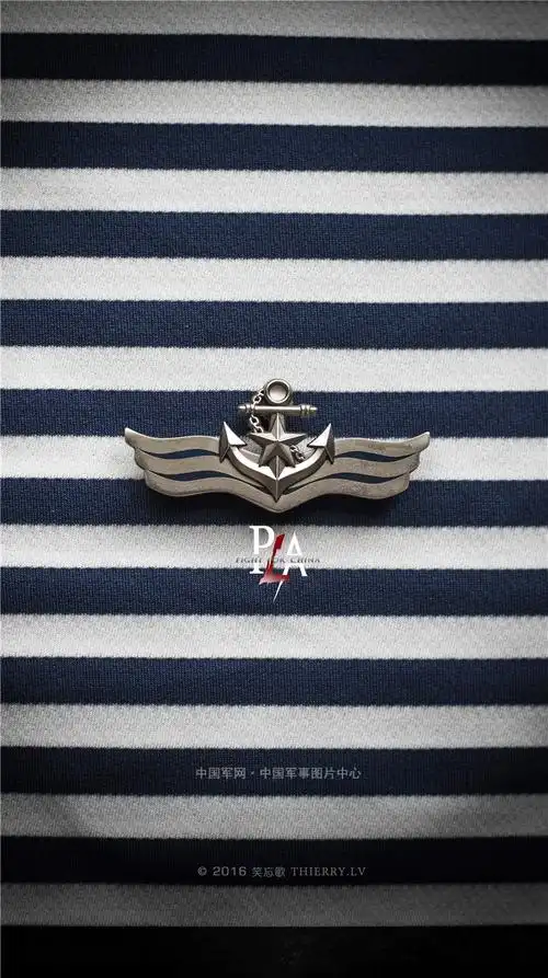 海军胸标元素手机壁纸