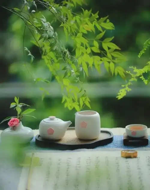 任岁月沧桑,内心安然无恙