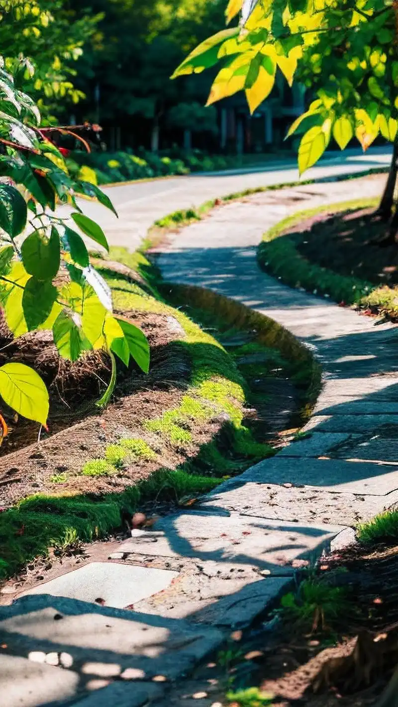 感受温暖照耀🌞 来一组超级温暖的阳光壁纸,让心情瞬间明媚起来!