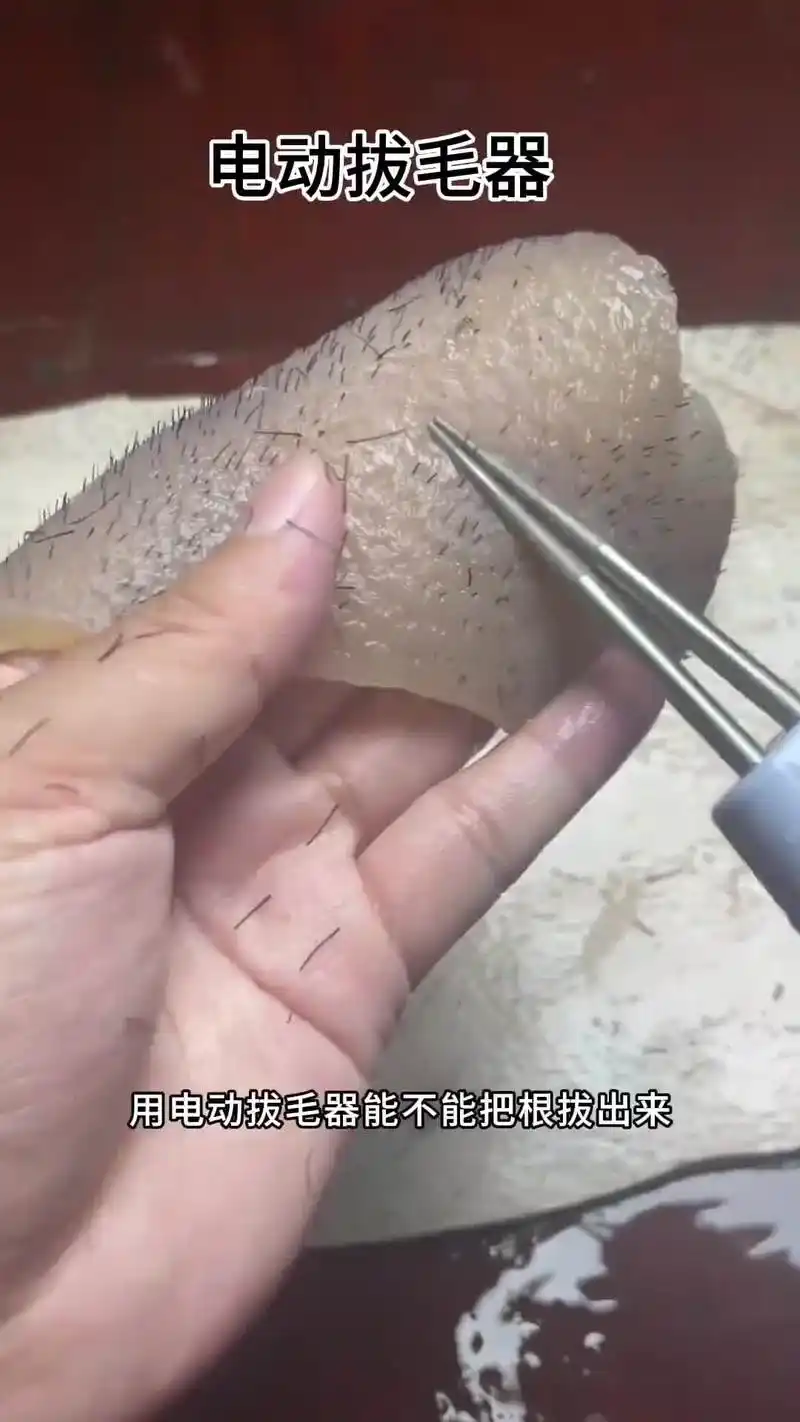 鹅毛,鸭毛,鸡毛,拔毛神器,这款电动拔毛器,一键搞定,省时省力!