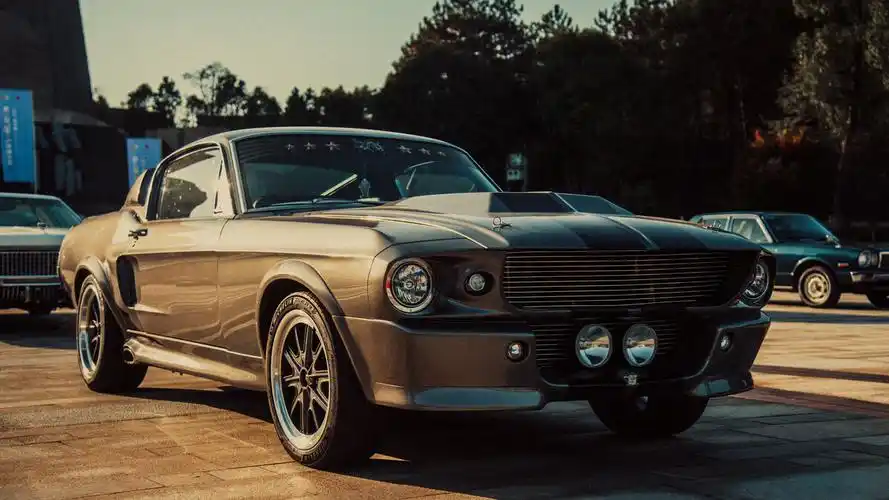 1967福特野马gt500伊莲娜稀有物种