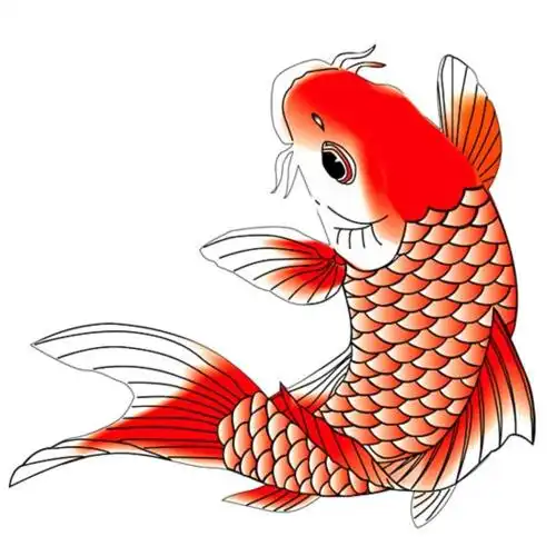鲤鱼彩色简笔画大图
