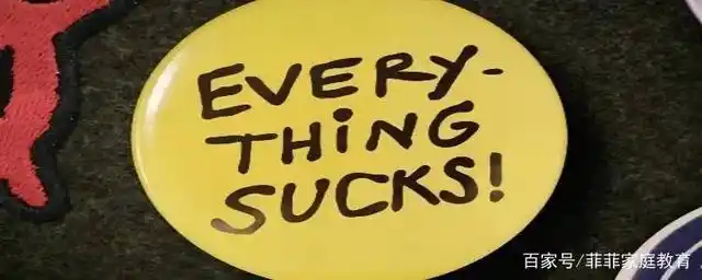 sucks是骂人的意思吗?