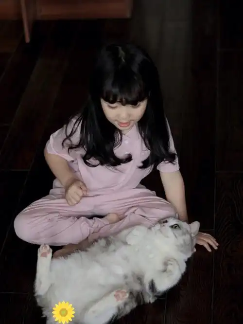 7岁的儿子和5岁女儿