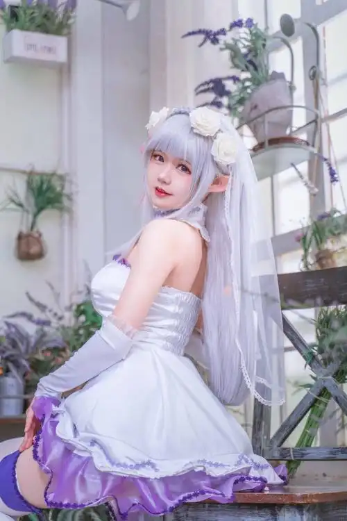 从零开始的异世界生活 艾米莉亚手办婚纱… - 半次元 - acg爱好者社区