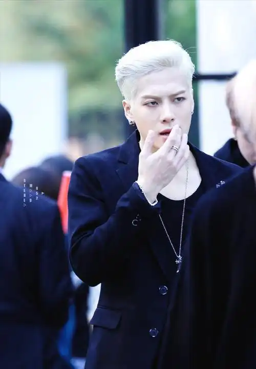 王嘉尔熊猫团发色