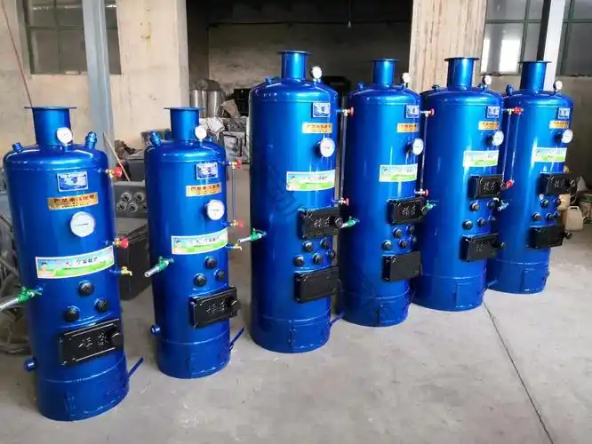 冬季燃煤蒸汽锅炉小型商用蒸气反烧水家用烧柴豆腐馒头食用菌酿酒龙之