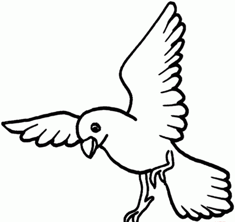 飞翔的小鸟画法简笔画(简笔画飞翔的小鸟步骤) -【爱个性】