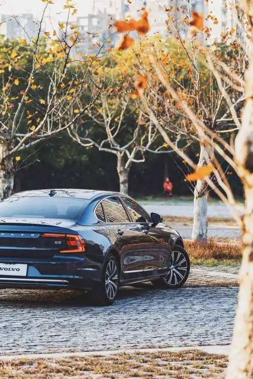 【图】s90牛仔蓝深秋壁纸级照片 来自斯堪迪纳维亚的优雅_沃尔沃s90