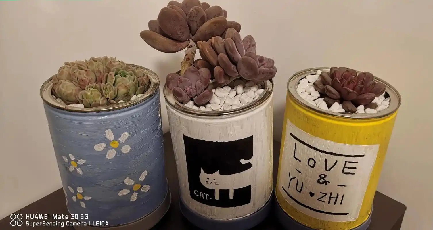 日常vlog.#diy奶粉罐花盆 #ing风花盆 #多肉少女 - 抖音