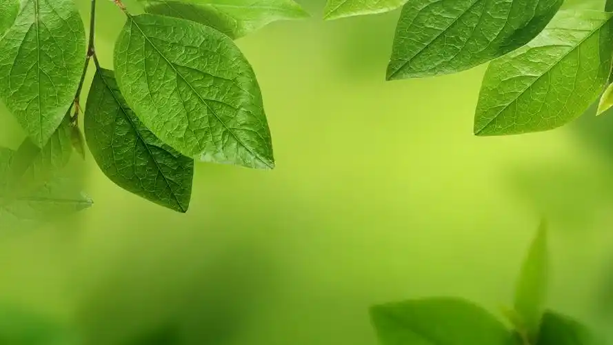 护眼壁纸【609】壁纸是一款电脑壁纸,属于风景分类,护