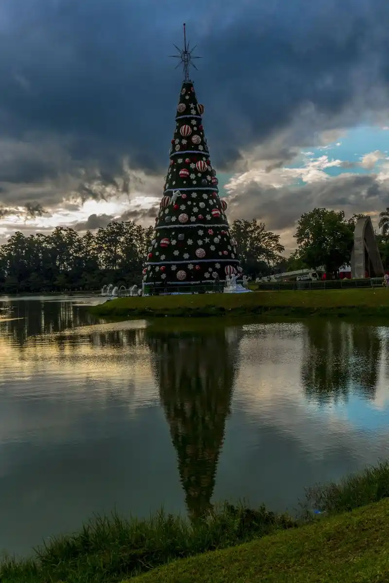 圣保罗的圣诞树