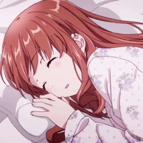 睡觉困动漫头像