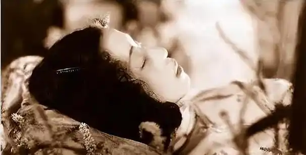 "香妃"刘丹:红颜薄命,27岁正红时车祸去世,父亲殉职哥哥离世