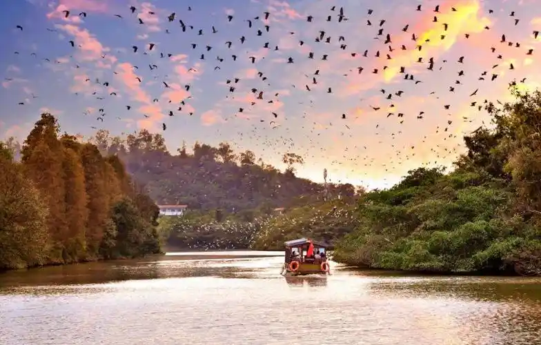 "稀客"来江门啦!欢迎"小精灵"~_中华_地区_自然保护区