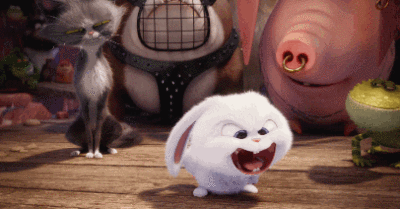 收集   点赞  评论  宠物大机密 0 9 夏日倾晨  发布到  表情包 推