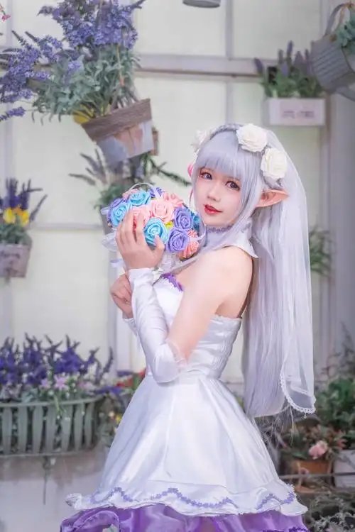 从零开始的异世界生活 艾米莉亚手办婚纱… - 半次元 - acg爱好者社区