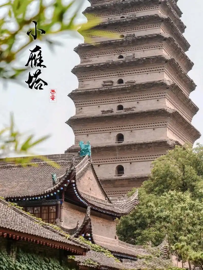 西安人文‖避开大雁塔的人潮来小雁塔吧.