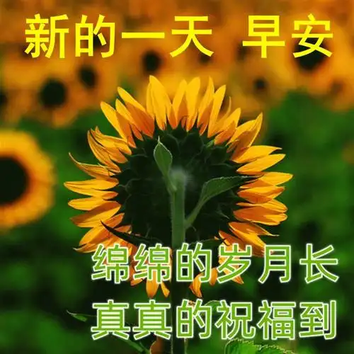 天亮了,美好的一天又开始了,起床吧,呼吸清新,拥抱阳光;微笑吧,快乐
