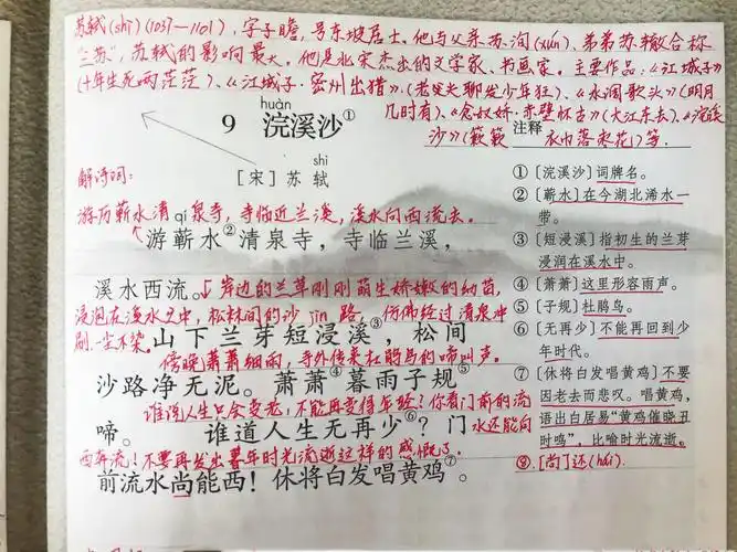浣溪沙宋苏轼古诗朗诵,苏轼古诗浣溪沙的意思_爱阅读