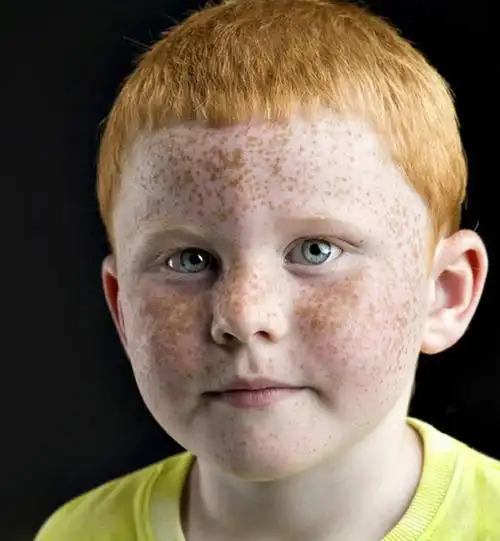 2009-3-3上传图片