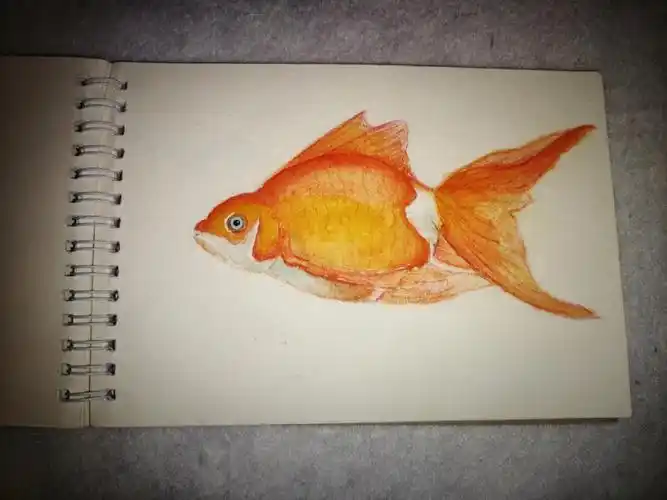 水彩画小白入门