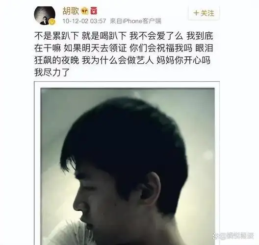 分手十五年后,薛佳凝对胡歌的态度,揭示张译盛赞她的原因