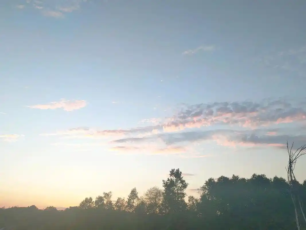 平平无奇的日子拍了些平平无奇的照片