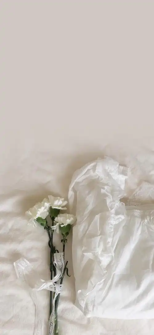 白色系壁纸|极简 干净 全面屏 - 知乎