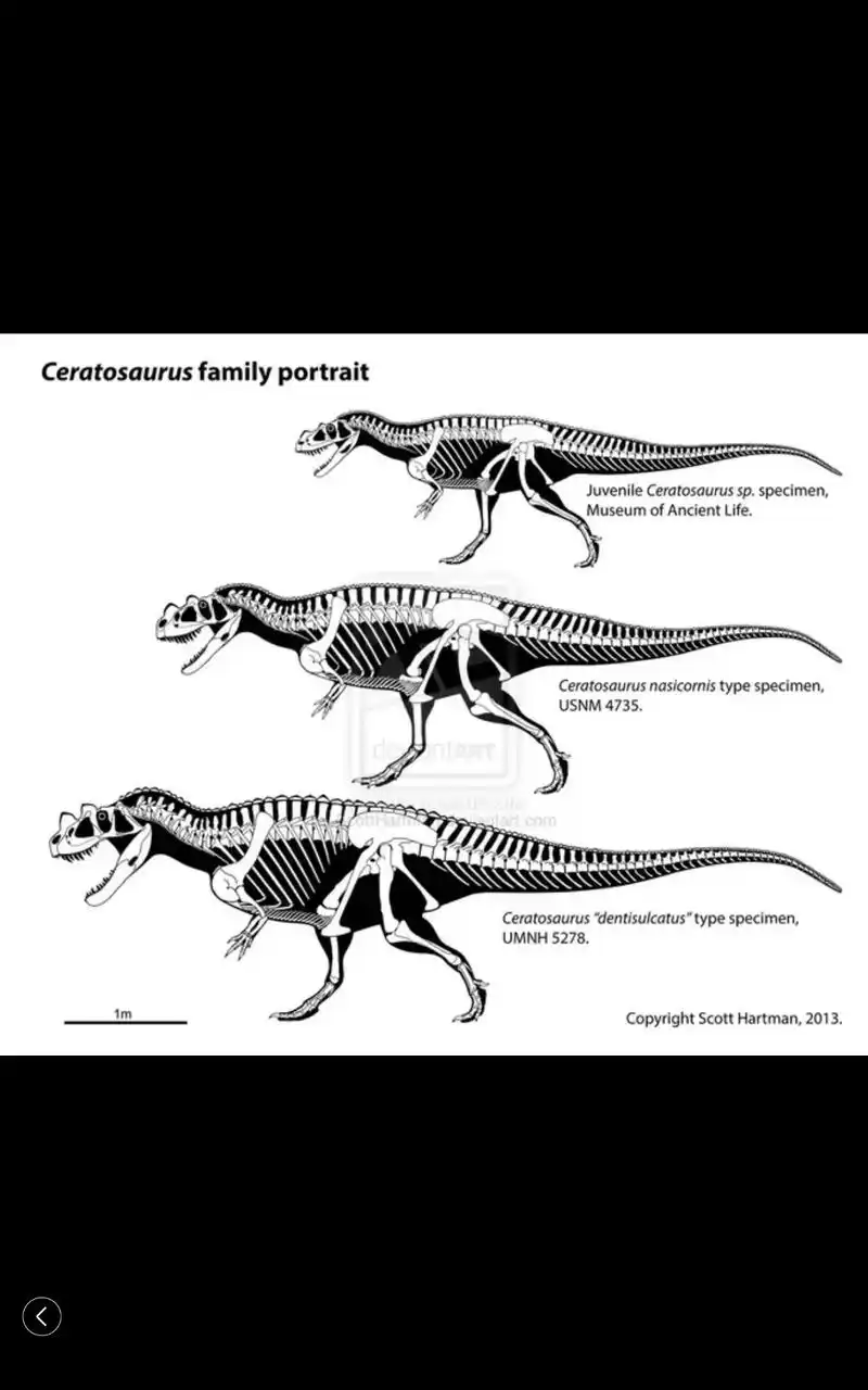 恐龙大全! - 抖音