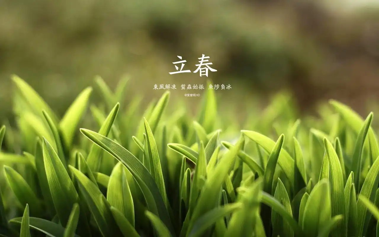 清新绿色风景高清壁纸图片下载