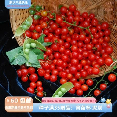 【种子】进口传家宝种子 迷你番茄 甜豌豆番茄  红醋栗 10粒