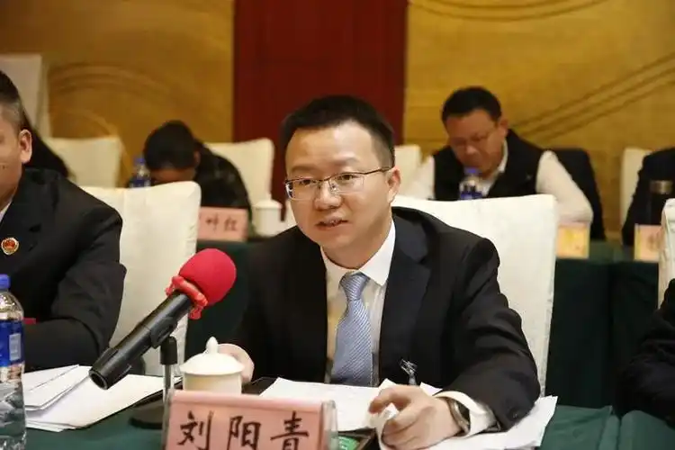 刘阳青参加苏家垱乡代表团审议